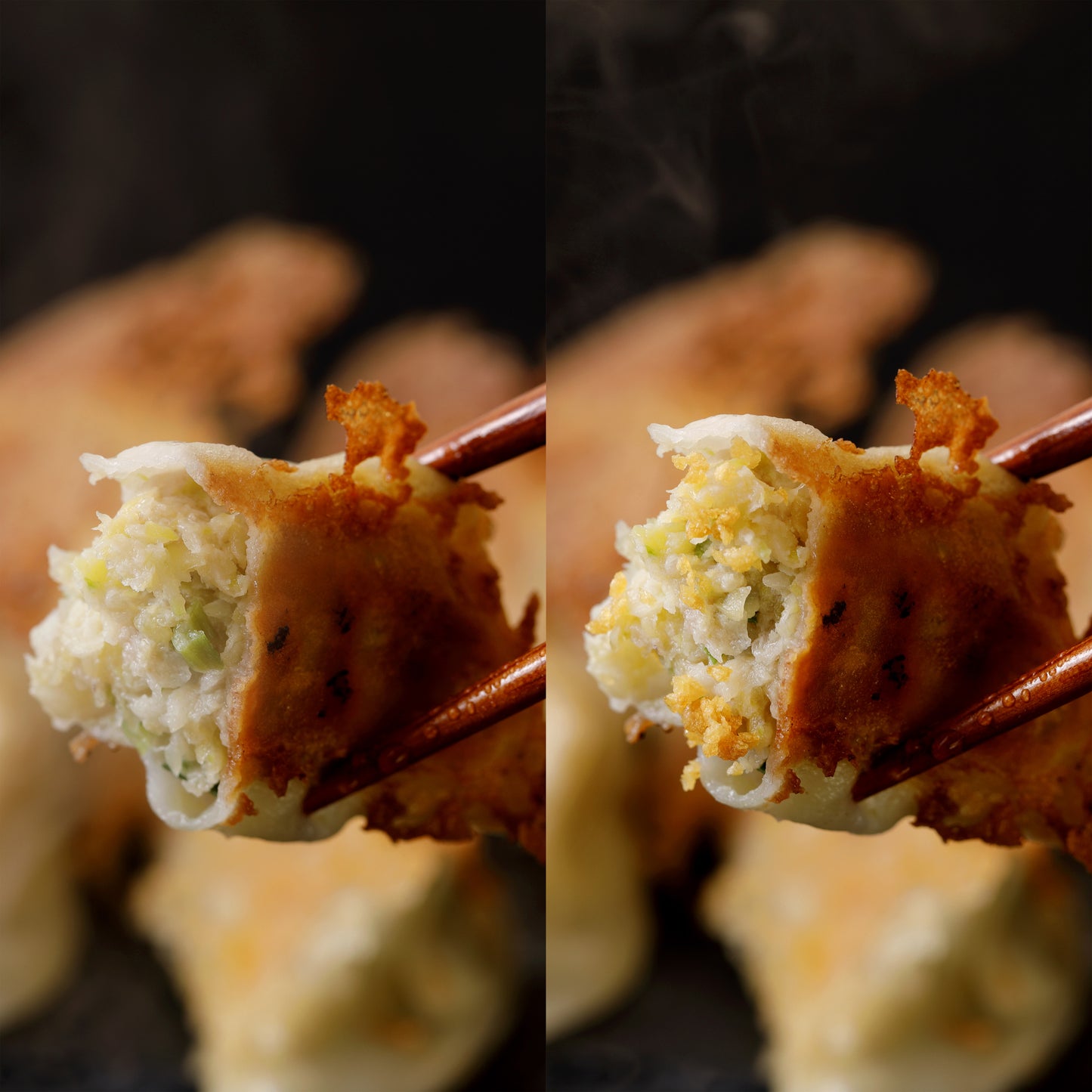 丸虎のトリコ餃子お得パック